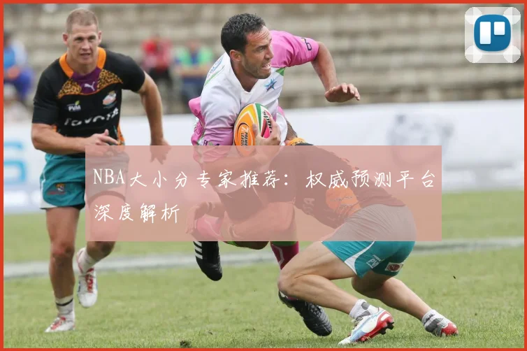 NBA大小分专家推荐：权威预测平台深度解析