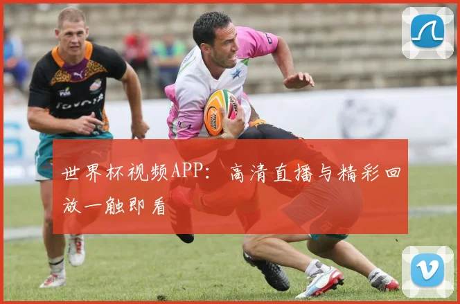 世界杯视频APP：高清直播与精彩回放一触即看
