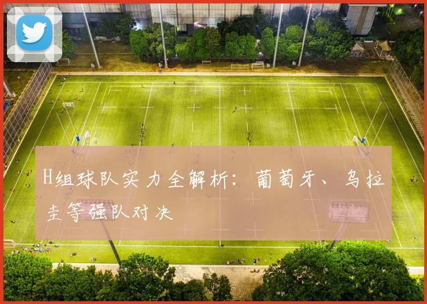 H组球队实力全解析：葡萄牙、乌拉圭等强队对决