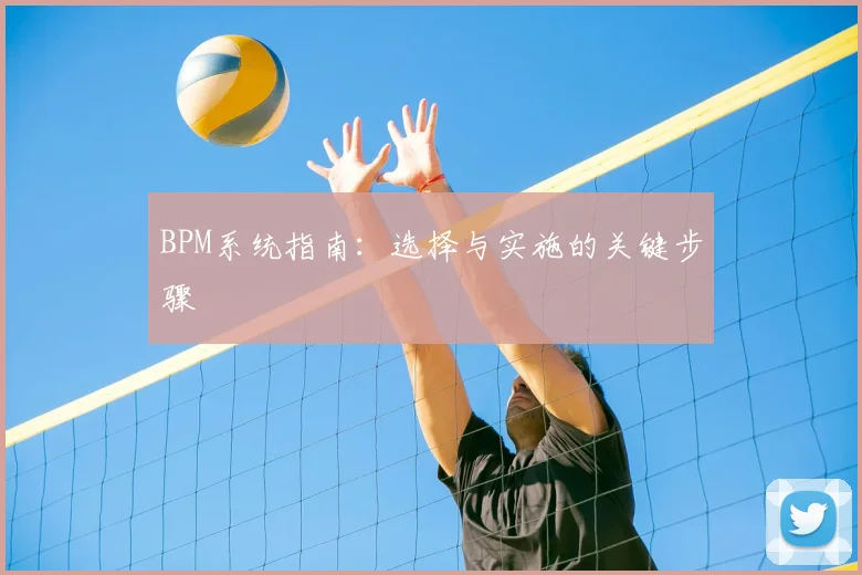 BPM系统指南:选择与实施的关键步骤